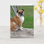 ブルドッグ考えるの話だ カード (黄色い花)