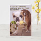 ブルドッグ誕生日カード カード (黄色い花)