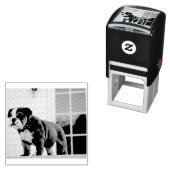 ブルドッグ赤と白子犬 セルフインキングスタンプ (インサイチュ)