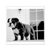 ブルドッグ赤と白子犬 セルフインキングスタンプ (デザイン)