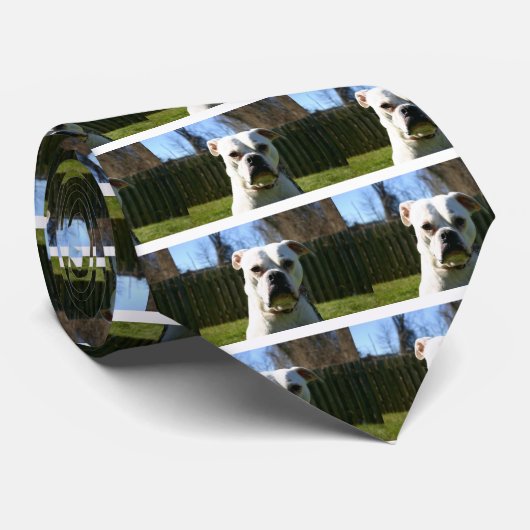 ブルドッグ顔 ネクタイ (ロール)