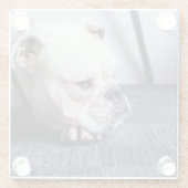 ブルドッグ ガラスコースター (裏面)