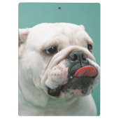 ブルドッグ クリップボード (裏面)