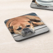 ブルドッグ コースター (左側)