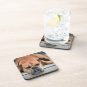 ブルドッグ コースター (右側)