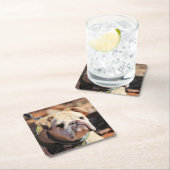 ブルドッグ スクエアペーパーコースター (インサイチュ)