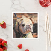 ブルドッグ スタンダードカクテルナプキン (インサイチュ)