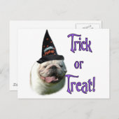 ブルドッグ・トリック ポストカード (正面/裏面)