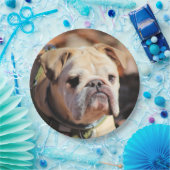 ブルドッグ ペーパープレート (パーティー)