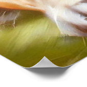 ブルドッグ ポスター (角)