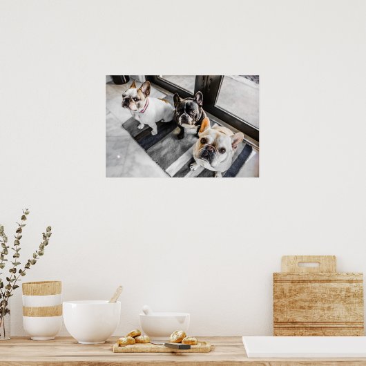 ブルドッグ ポスター (キッチン)