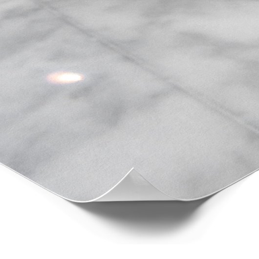 ブルドッグ ポスター (角)