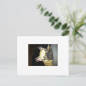 ブルドッグ ポストカード (スタンド正面)