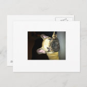 ブルドッグ ポストカード (正面/裏面)