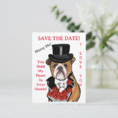 ブルドッグ ポストカード (スタンド正面)