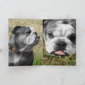 ブルドッグ・マザー・デイ カード (内部)