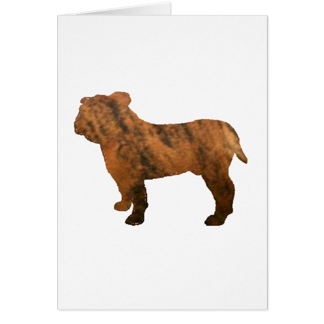 ブルドッグ・レッド・ブリンドル・サイロ (正面)