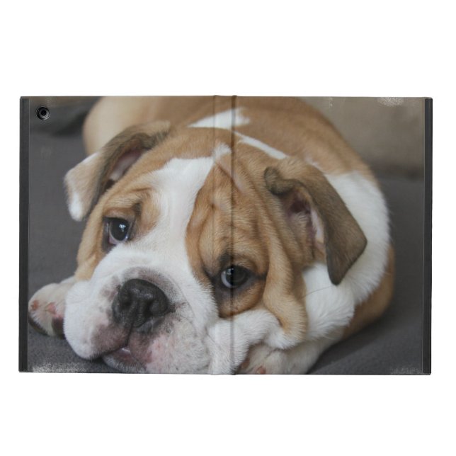 ブルドッグ iPad AIRケース (外側)