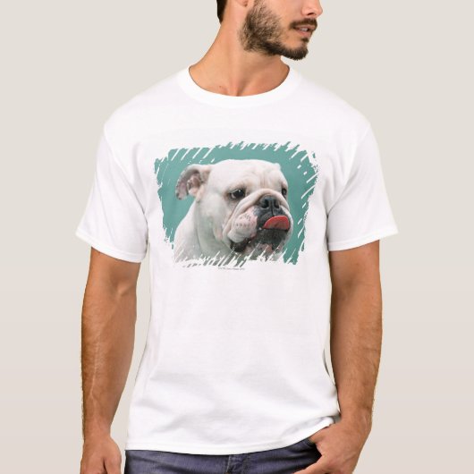 ブルドッグ Tシャツ (正面)
