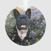 ブルドッフランスのグが花に咲く オーナメント (裏面)
