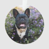ブルドッフランスのグが花に咲く オーナメント (正面)