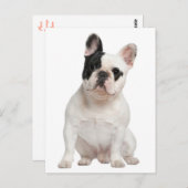 ブルドッフランスのグワンちゃんのはがき ポストカード (正面/裏面)