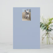 ブルドッフランスのグ固定 便箋 (スタンド正面)