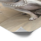 ブルドフランスのッグ写真 ポスター (角)