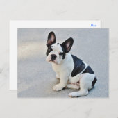 ブルドフランスのッグ犬のはがき ポストカード (正面/裏面)