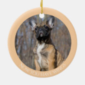 ブルドフランスのッグ記念パーソナライズされた碑 セラミックオーナメント (裏面)