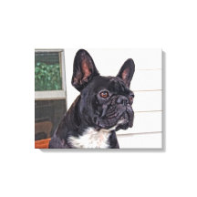 ブルドフランスのッグ