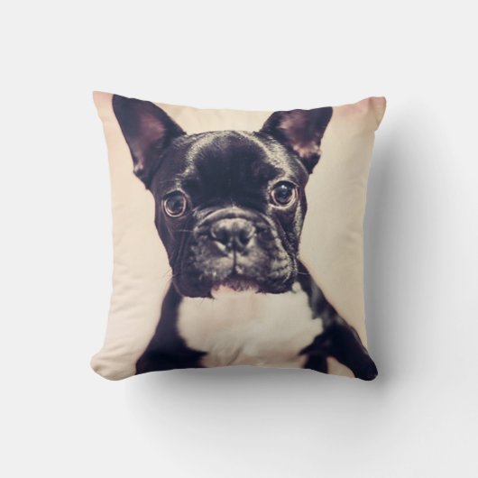 ブルドフランスのッグ クッション (正面)