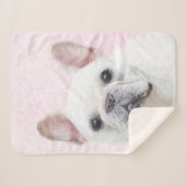 ブルドフランスのッグ（クリーム/ホワイト）絵画ズ-犬芸術 シェルパブランケット (正面(横))