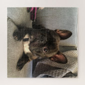 ブルドフランスのッグ ジグソーパズル (横)