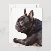 ブルドフランスのッグ ポストカード (正面/裏面)