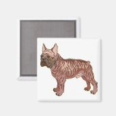 ブルドフランスのッグ マグネット (正面/裏面)