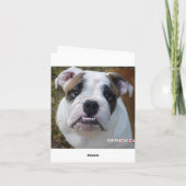 ブルド考えるッグのお空白の前のカード！ カード (裏面)