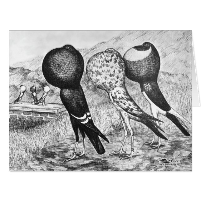 ブルナープアウター・ハト (正面横)