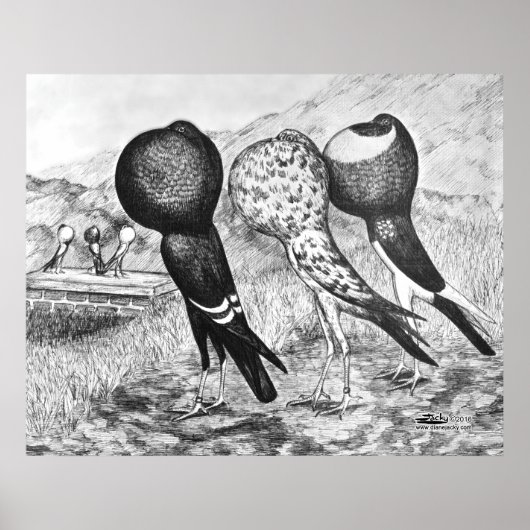 ブルナープアウター・ハト ポスター (正面)