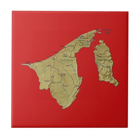 ブルネイ地図タイル タイル (正面)