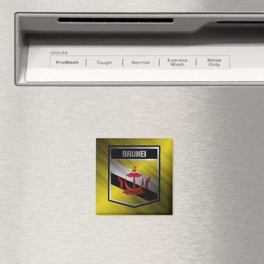 ブルネイ マグネット (インサイチュ (食洗機))