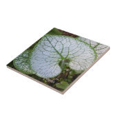 ブルネラマクロフィラ植物リーフフローラ タイル (側面)