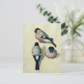 ブルフィンチの三勉強 ポストカード (スタンド正面)