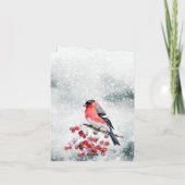 ブルフィンチクリスマスバードスノーウィーレッドベリー シーズンカード (裏面)