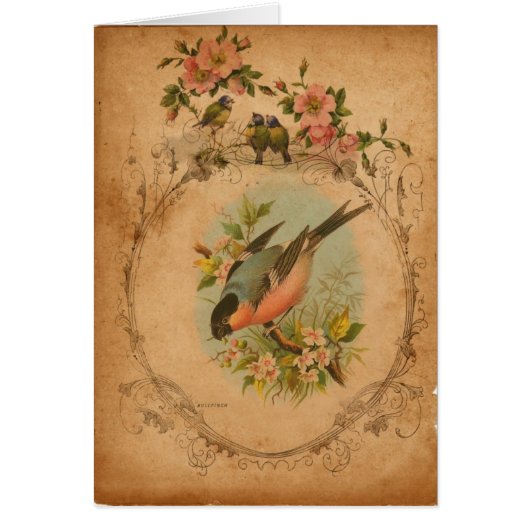 ブルフィンチデジタルアートすべての行事グリーティングカード (正面)