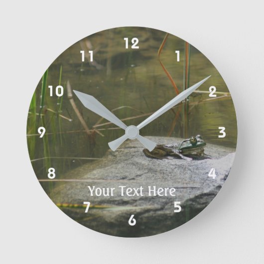 ブルフロッグの日差しが岩の自然 ラウンド壁時計 (正面)