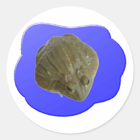 ブルフロッグステッカー ラウンドシール (正面)