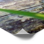 ブルフロッグブリスのポスター ポスター (角)