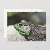 ブルフロッグ思想自然写真はがき ポストカード (正面/裏面)