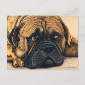 ブルマスティフ待ち – Dog Breed Art ポストカード